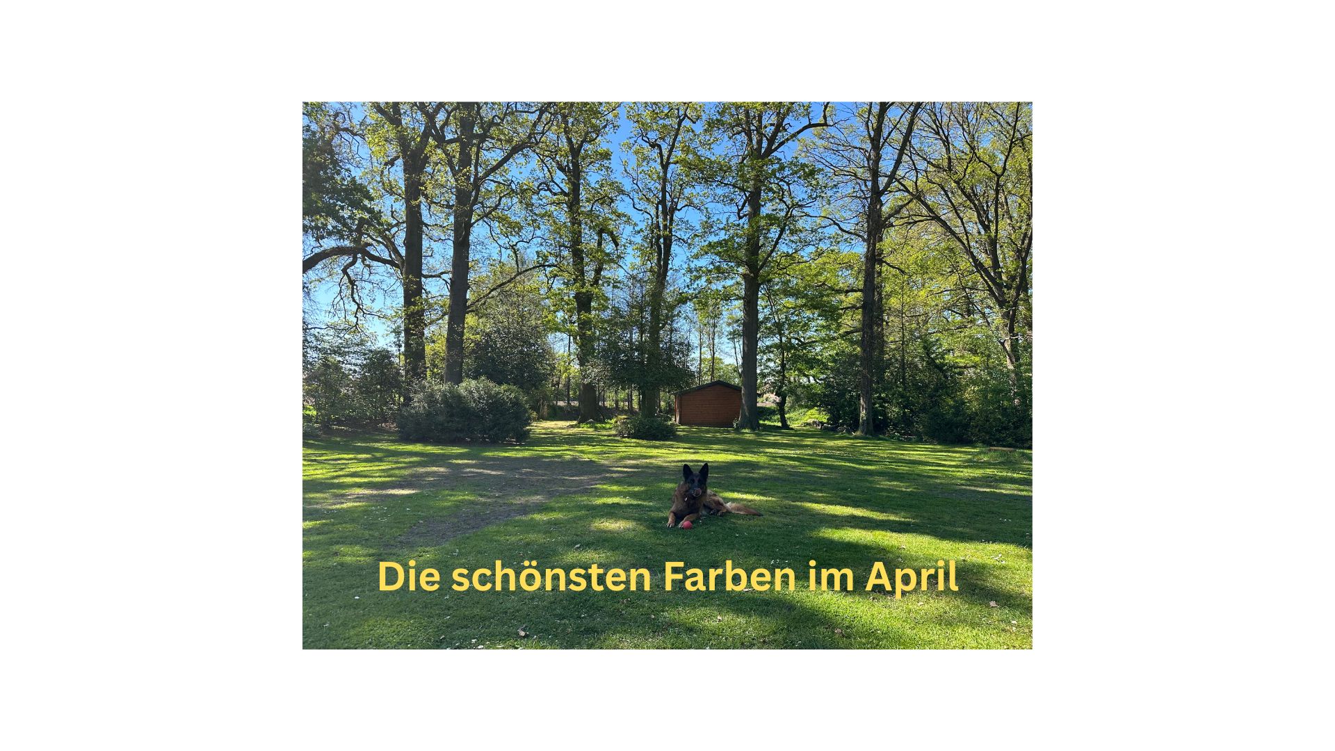 Monatsrückblick April 2026
