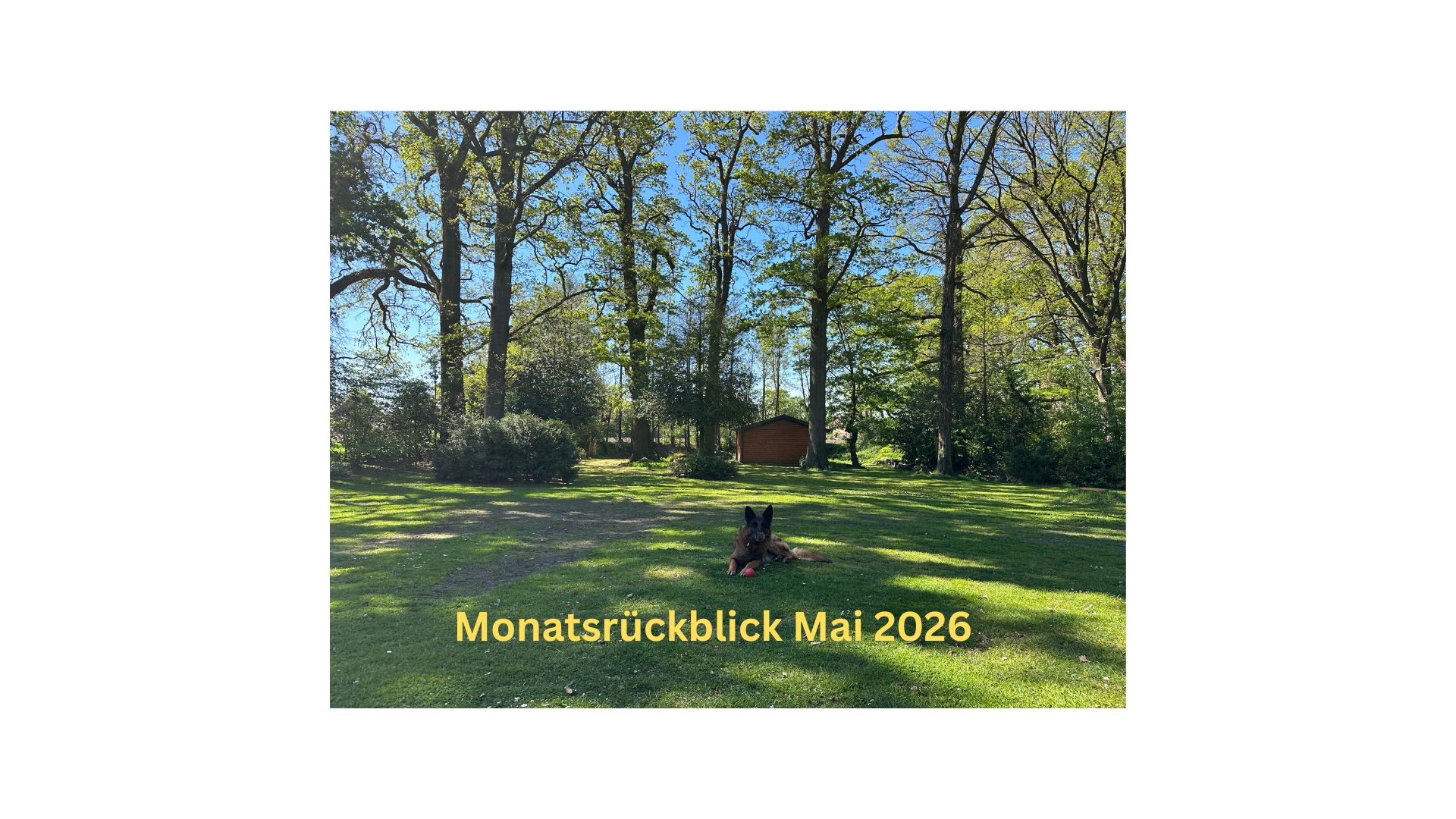 Monatsrückblick Mai 2026: Langeoog, Wien und Geburtstag